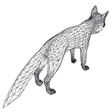 recommend clip art: Fox polygonal lines illustration. Abstract vector fox on the white background