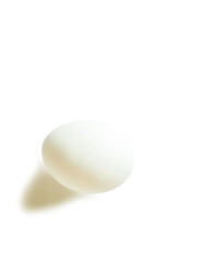 White chicken egg isolated on a white background.