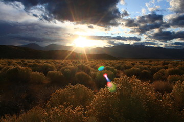 Sonnenuntergang Mono Lake