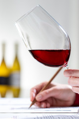 Vertical shot of sommelier evaluating red wine at table.