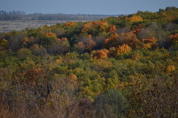 Fototapeta premium autumn in the mountains