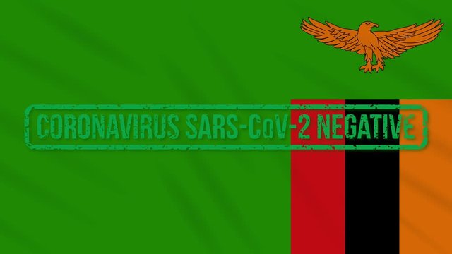 Zambia swaying flag with green grunge stamp of freedom from coronavirus, loop