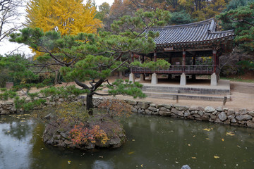 Fototapeta na wymiar Autumn color at Namsangol folk village, Seoul, South Korea - NOVEMBER 2013