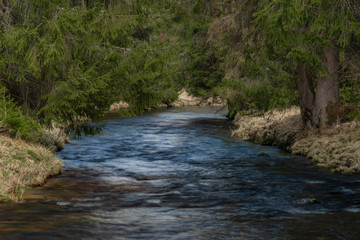 Studena Vltava river in national park Sumava in sunny spring day