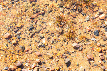 Small stones on the sand shore of the lake in the water, Finland