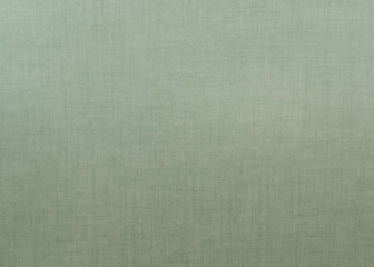 Grungy textured wall background in pale green