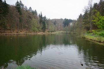 Fototapeta na wymiar Waldsee