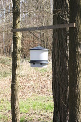 Vogelhaus im Wald.