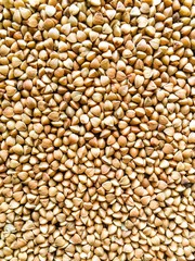 micro shot of green buck-wheat 