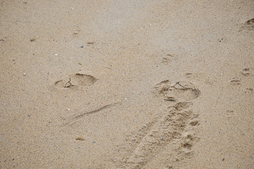 Traces de pas sur le sable .