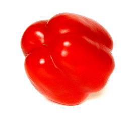 Sweet bell red pepper isolated on white background