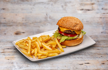 Fresh tasty burger