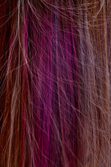 Strands of hair dyed with Multi-colored temporary chalk for hair. Suitable for girls