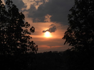 Sunset through the trees