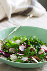 Vegetarian salad with herbs and radish on a light background.