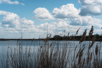 Beautiful spring cloudy sky, panorama, landscape. The lake and the snow-white clouds reflected in it. Haze in the blue sky and a beautiful blue river