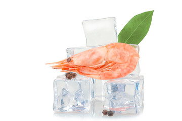 Shrimp on ice cubes background, isolated on white.