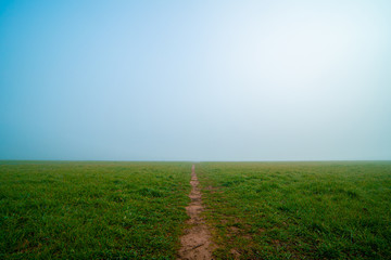 Path on the lawn in foggy weather to the horizon