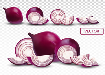 Red onion. Half, piece onion on transparent background. 3d realistic onion. Vector illustration.