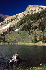 Fototapeta na wymiar Stella Lake, Great Basin National Park, Nevada