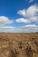 Fertile brown humic soil, prepared for sowing or planting, under a blue sky with white clouds