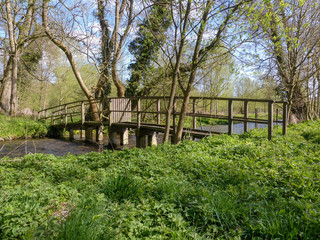 Wooden bridge over the River Chess, a chalk stream in the Chiltern Hills, Hertfordshire, UK