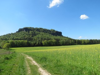 Lilienstein in der sächsischen Schweiz