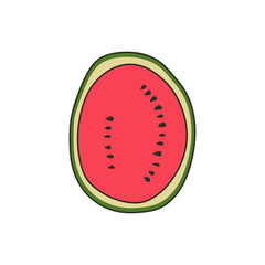 Isolated watermelon slice on white background in vector. Vector illustration of watermelon