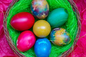Green grass nest in a basket with colored chicken Easter eggs, multicolored painted eggs, Easter tradition, celebration concept 