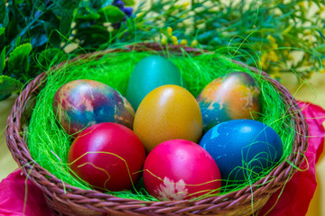 Green grass nest in a basket with colored chicken Easter eggs, multicolored painted eggs, Easter tradition, plastic flower as a decoration on the back, celebration concept 
