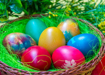Fototapeta na wymiar Green grass nest in a basket with colored chicken Easter eggs, multicolored painted eggs, Easter tradition, plastic flower as a decoration on the back, celebration concept 