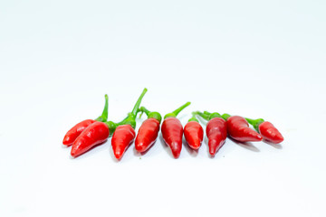 Tabasco Chilies 