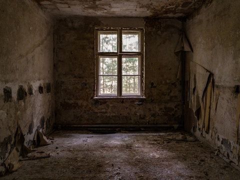 An abandoned room with dirty walls, broken window and trash on the floor, a sunny forest on the outside