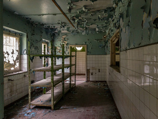 An empty, derelict store with broken windows and empty shelves, looking out on a green forest 