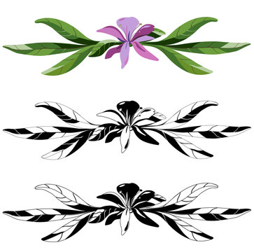 Design of d&eacute;cor for the pages, letters, books. Border, footer. Floral ornament.