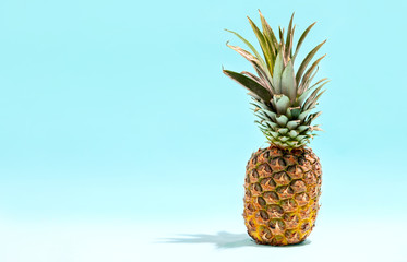 Summer food concept, popular summer fruit pineapple front view, copy space for a text