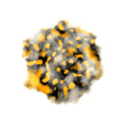 Leopard or tiger fur patch.