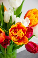 A bouquet of colorful natural tulips in a glass vase with water on a concrete background. Mother's Day greeting card, Women's Day. Vertical orientation. Close up.