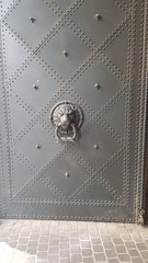 metal door lion