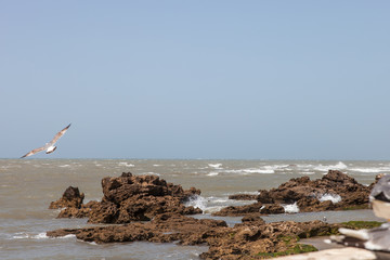 Atlantic ocean. coast of Morocco
