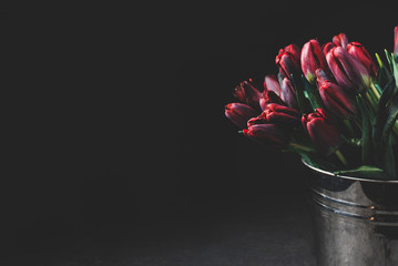 Bucket of beautiful red tulips on a black background. Space for your text
