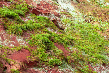 Red sand rock with son in national park