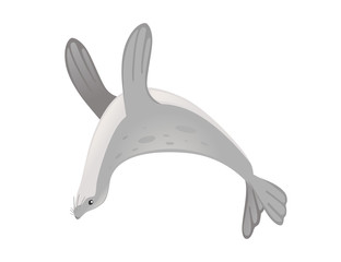Obraz premium Cute seal cartoon animal design flat vector illustration isolated on white background