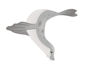 Cute seal cartoon animal design flat vector illustration isolated on white background