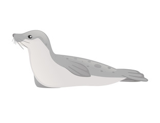 Cute seal cartoon animal design flat vector illustration isolated on white background