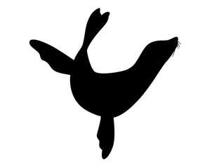 Black silhouette cute seal cartoon animal design flat vector illustration isolated on white background