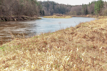 Small island in the wild river