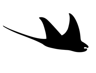 Black silhouette manta ray underwater giant animal with wings simple character design flat vector illustration isolated on white background