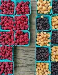 Small baskets full of berries at a farmer's market