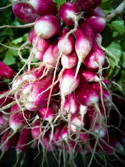 Beautiful bunch of red turnips at a farmer's market..